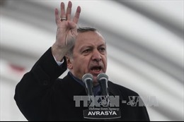 Thổ Nhĩ Kỳ sẽ tổ chức trưng cầu ý dân 