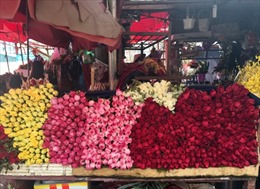 Hoa hồng tăng giá từng giờ ngày Valentine