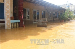 Nông dân Đồng Nai thiệt hại nặng do thời tiết thất thường