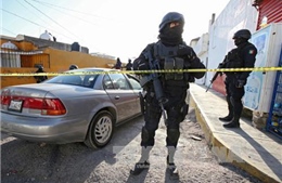 Mexico báo động 6 bang vì nguồn phóng xạ bị đánh cắp