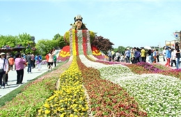 Hàn Quốc thu hút khách Việt Nam bằng lễ hội