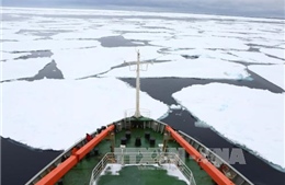 Diện tích băng ở Nam Cực giảm xuống mức thấp kỷ lục 