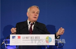 Pháp tuyên bố trả đũa nếu nước ngoài can thiệp bầu cử tổng thống 
