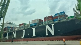 Hãng vận tải biển lớn nhất Hàn Quốc phá sản