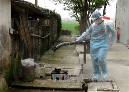Tăng cường các biện pháp ngăn chặn vi rút cúm gia cầm A/H7N9 vào Việt Nam