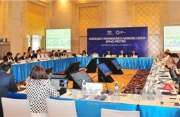 8 nhóm công tác của APEC thảo luận về định hướng hợp tác trong năm 2017 