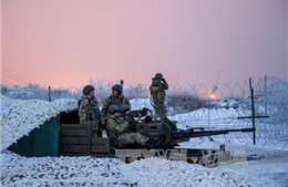 Nga công bố lệnh ngừng bắn tại Ukraine
