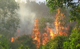 Cháy rừng trên đường lên chùa Tháp, phát hiện một thi thể nam giới 