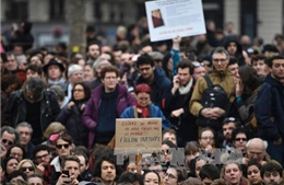 Biểu tình phản đối các chính trị gia tham nhũng tại Pháp
