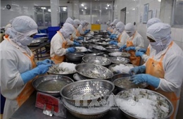 Doanh nghiệp Nhật Bản muốn đẩy mạnh xuất khẩu thủy sản vào Việt Nam