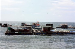 Xã đảo Hòn Nghệ làm giàu từ biển