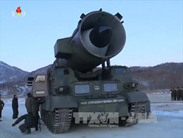 Triều Tiên vẫn phát triển khả năng đánh chặn toàn diện bằng vũ khí hạt nhân 