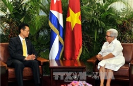 Phó Chủ tịch Cuba tin tưởng quan hệ với Việt Nam sẽ vững tiến