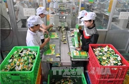 59 doanh nghiệp rớt danh hiệu Hàng Việt Nam chất lượng cao