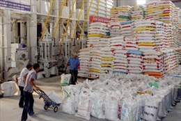 Trúng thầu cung cấp gạo cho Philippines: Tạo đà cho xuất khẩu 
