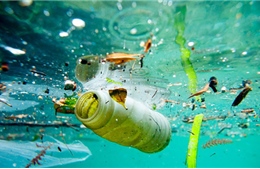 Các đại dương bị ô nhiễm vì hạt nhựa siêu nhỏ