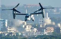 Nhật Bản, Mỹ dùng máy bay vận tải Osprey trong tập trận chung
