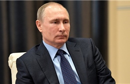 Tổng thống Putin là &#39;cha đẻ&#39; của ý tưởng điều tàu sân bay tới Syria