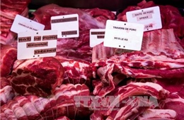 WTO bác khiếu nại của Nga trong vụ kiện nhập khẩu thịt lợn từ EU