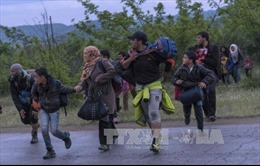 Hàng chục nghìn người tị nạn Syria từ Thổ Nhĩ Kỳ trở về nước