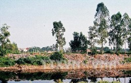 Nỗ lực cải thiện chất lượng nước sông Nhuệ, sông Đáy