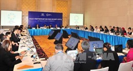 APEC 2017: Tiếp tục các cuộc họp trong khuôn khổ Hội nghị SOM 1