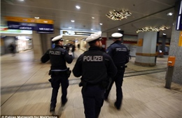 Đức phát hiện túi hành lý khả nghi tại quảng trường Cologne