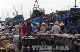 Bình Thuận kiến nghị không phát triển nghề giã cào