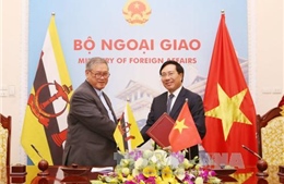 Tăng cường hợp tác toàn diện Việt Nam - Brunei 