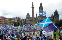 Scotland không nên tiến hành cuộc trưng cầu ý dân thứ hai về nền độc lập