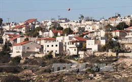 Cảnh sát Israel sơ tán 9 nhà định cư tại Bờ Tây