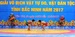 Bế mạc Giải Vô địch Vật tự do, Vật dân tộc tỉnh Bắc Ninh 2017