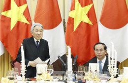 Vua Nhật Bản hy vọng chuyến thăm giúp tăng cường sự gắn bó giữa Nhật Bản và Việt Nam