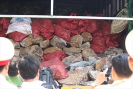 Bắt giữ xe tải chở 4,5 tấn quặng không rõ nguồn gốc