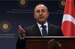 Thổ Nhĩ Kỳ cáo buộc Đức áp dụng tiêu chuẩn kép trong quan hệ hai nước 