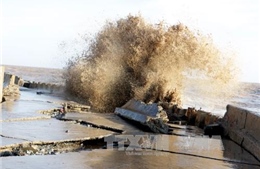 Công bố lệnh khẩn cấp về thiên tai gây sạt lở kè đê biển Bạc Liêu