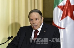 Rộ tin Tổng thống Algeria qua đời sau vụ huỷ tiếp bà Merkel