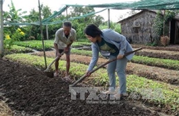 Người phụ nữ Nhật 20 năm gắn bó với nông dân Việt Nam 