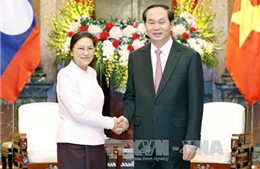  Đôn đốc triển khai hiệu quả các thỏa thuận Việt - Lào