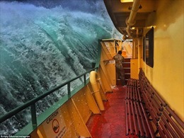 Phà Manly vượt sóng &#39;quái vật&#39; ở cảng Sydney