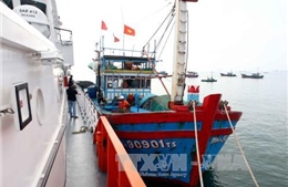 Cứu hộ kịp thời 10 thuyền viên tàu cá Đà Nẵng gặp nạn