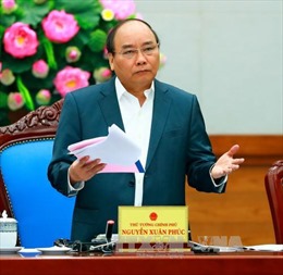 Thủ tướng chỉ đạo hỗ trợ Trà Vinh phòng, chống dịch bệnh thủy sản 