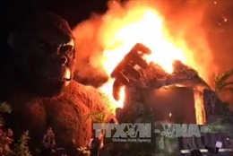 Cháy lớn trong buổi ra mắt phim &#39;Kong: Đảo đầu lâu&#39;