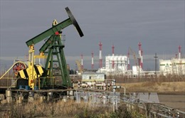 Nga &#39;ẵm&#39; 9 tỷ USD nhờ OPEC giảm sản lượng dầu  