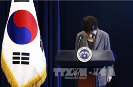  Hàn Quốc bắt đầu nhận đăng ký ứng cử viên tổng thống