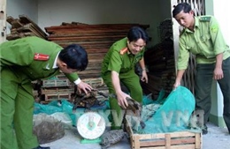  Phê duyệt dự án phòng, chống buôn bán trái phép động, thực vật hoang dã