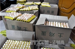 Bắt liên tiếp 2 vụ vận chuyển 18.000 quả trứng gà nhập lậu