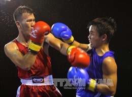  Khai mạc Giải Boxing Đại hội Thể dục thể thao Đồng bằng sông Cửu Long