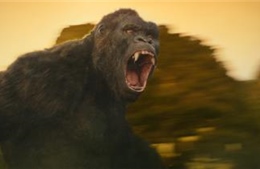 Nhân vật và bối cảnh trong ‘Kong: Đảo Đầu Lâu’ được tạo hình như thế nào? 