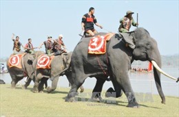 Tưng bừng hội đua voi và thuyền độc mộc tại lễ hội cà phê Buôn Ma Thuột 